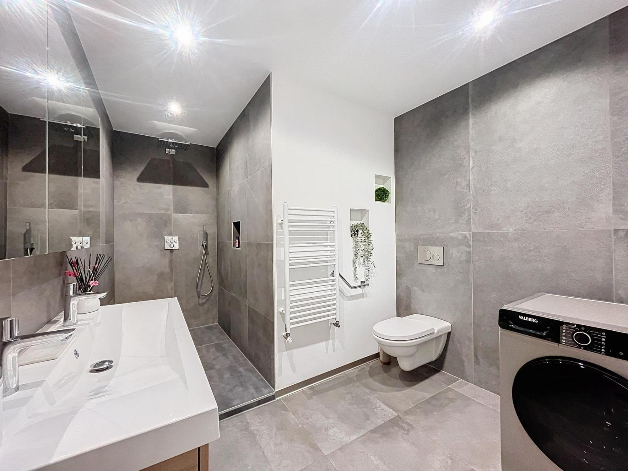 Appartement Centre Historique Mulhouse Dış mekan fotoğraf